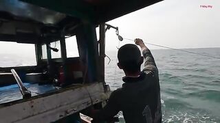 Ночная ловля кальмара с лодки в Лонгхае