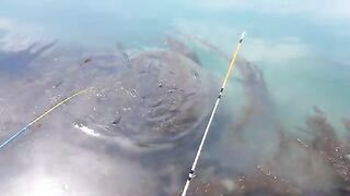 Морская ловля камбалы в Невельске на Сахалине