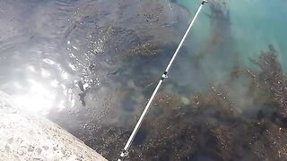 Морская ловля камбалы в Невельске на Сахалине