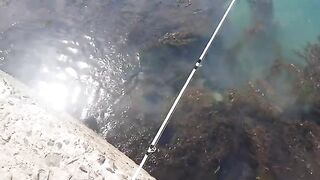 Морская ловля камбалы в Невельске на Сахалине