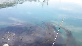 Морская ловля камбалы в Невельске на Сахалине