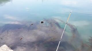 Морская ловля камбалы в Невельске на Сахалине