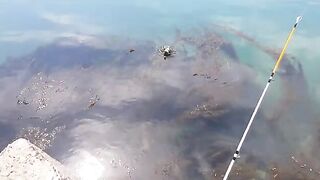 Морская ловля камбалы в Невельске на Сахалине