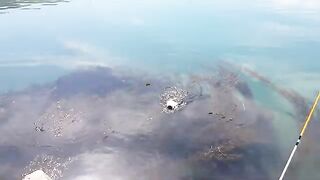 Морская ловля камбалы в Невельске на Сахалине