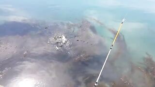 Морская ловля камбалы в Невельске на Сахалине