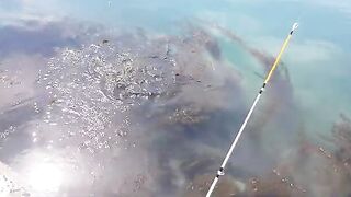 Морская ловля камбалы в Невельске на Сахалине