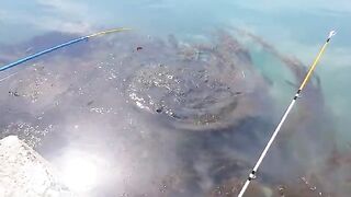 Морская ловля камбалы в Невельске на Сахалине