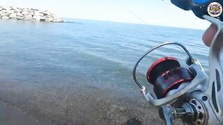 Два лосося на тонкую снасть с разогнутым крючком в Трабзоне
