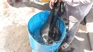 Антхой, Фукуок: промысел анчоуса и рыболовный день для гостей