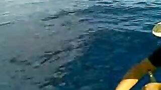 Стая морских хищников подошла к лодке у Закинфа и мы вместе вываживали