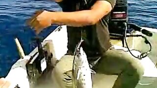 Стая морских хищников подошла к лодке у Закинфа и мы вместе вываживали