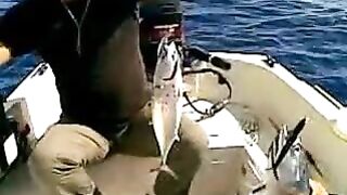 Стая морских хищников подошла к лодке у Закинфа и мы вместе вываживали