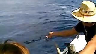 Стая морских хищников подошла к лодке у Закинфа и мы вместе вываживали