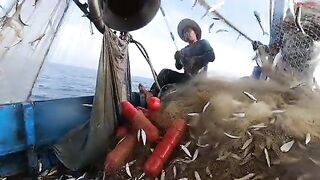 Ночной выход из Лонгхая на лодке Хоабинь за сельдью