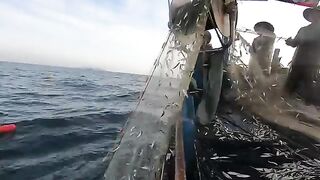Ночной выход из Лонгхая на лодке Хоабинь за сельдью