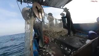 Ночной выход из Лонгхая на лодке Хоабинь за сельдью
