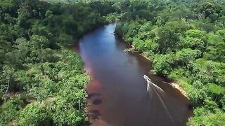 Финальный день в джунглях Суринама и долгожданные аймары