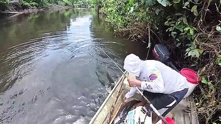 Финальный день в джунглях Суринама и долгожданные аймары