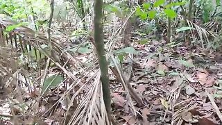 Финальный день в джунглях Суринама и долгожданные аймары