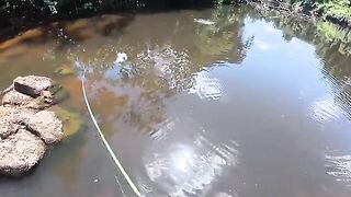 Финальный день в джунглях Суринама и долгожданные аймары