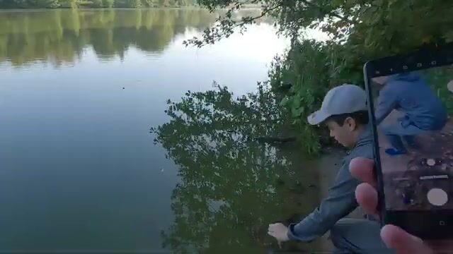 Барские пруды: мелкий окунь, легкая приманка и смена проводки