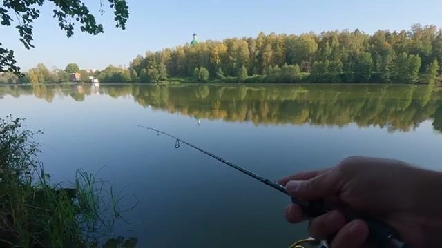 Барские пруды: мелкий окунь, легкая приманка и смена проводки