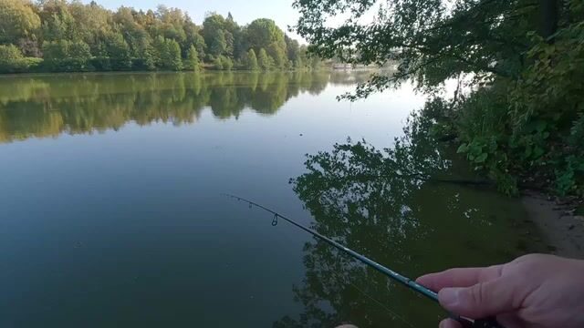 Барские пруды: мелкий окунь, легкая приманка и смена проводки