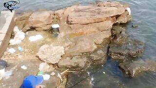 Зыонгдонг на Фукуоке: морская рыбалка и подготовка утренней лодки