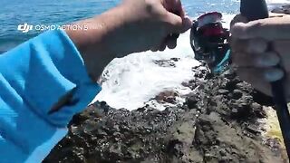 Береговой джиг в Синопе и пеламида с зубами