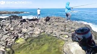 Береговой джиг в Синопе и пеламида с зубами