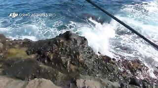 Береговой джиг в Синопе и пеламида с зубами