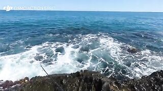 Береговой джиг в Синопе и пеламида с зубами