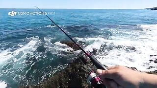 Береговой джиг в Синопе и пеламида с зубами