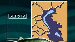 Ночная ловля на реке Кура в Мингечевире
