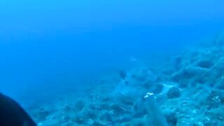 Подводная охота у Закинфа с застрявшим в камне гарпуном