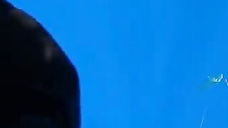 Подводная охота у Закинфа с застрявшим в камне гарпуном