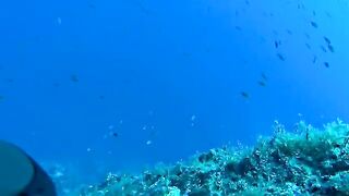 Подводная охота у Закинфа с застрявшим в камне гарпуном