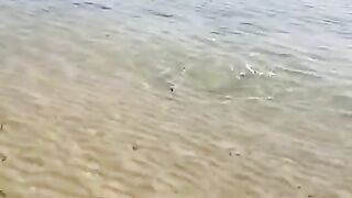 Монастир, Тунис: серфкастинг на дораду и морской маршрут