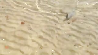 Монастир, Тунис: серфкастинг на дораду и морской маршрут