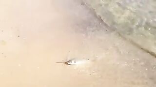 Монастир, Тунис: серфкастинг на дораду и морской маршрут