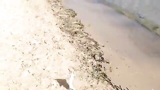 Монастир, Тунис: серфкастинг на дораду и морской маршрут