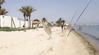 Монастир, Тунис: серфкастинг на дораду и морской маршрут