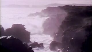 Лабрадор: морской дневник и отдельная рыбалка в Канаде