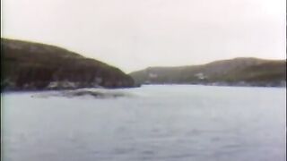 Лабрадор: морской дневник и отдельная рыбалка в Канаде
