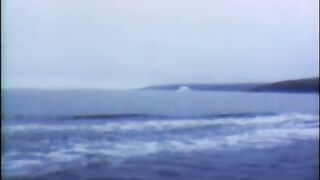 Лабрадор: морской дневник и отдельная рыбалка в Канаде