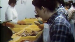 Лабрадор: морской дневник и отдельная рыбалка в Канаде