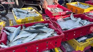 Лаги, Вьетнам: возвращение рыбацкого флота и свой морской день