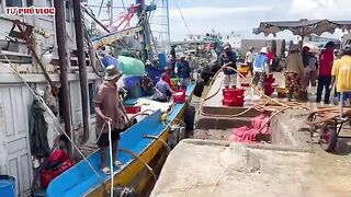 Лаги, Вьетнам: возвращение рыбацкого флота и свой морской день