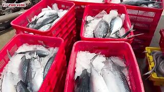 Лаги, Вьетнам: возвращение рыбацкого флота и свой морской день