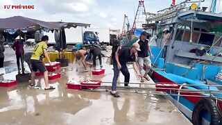 Лаги, Вьетнам: возвращение рыбацкого флота и свой морской день